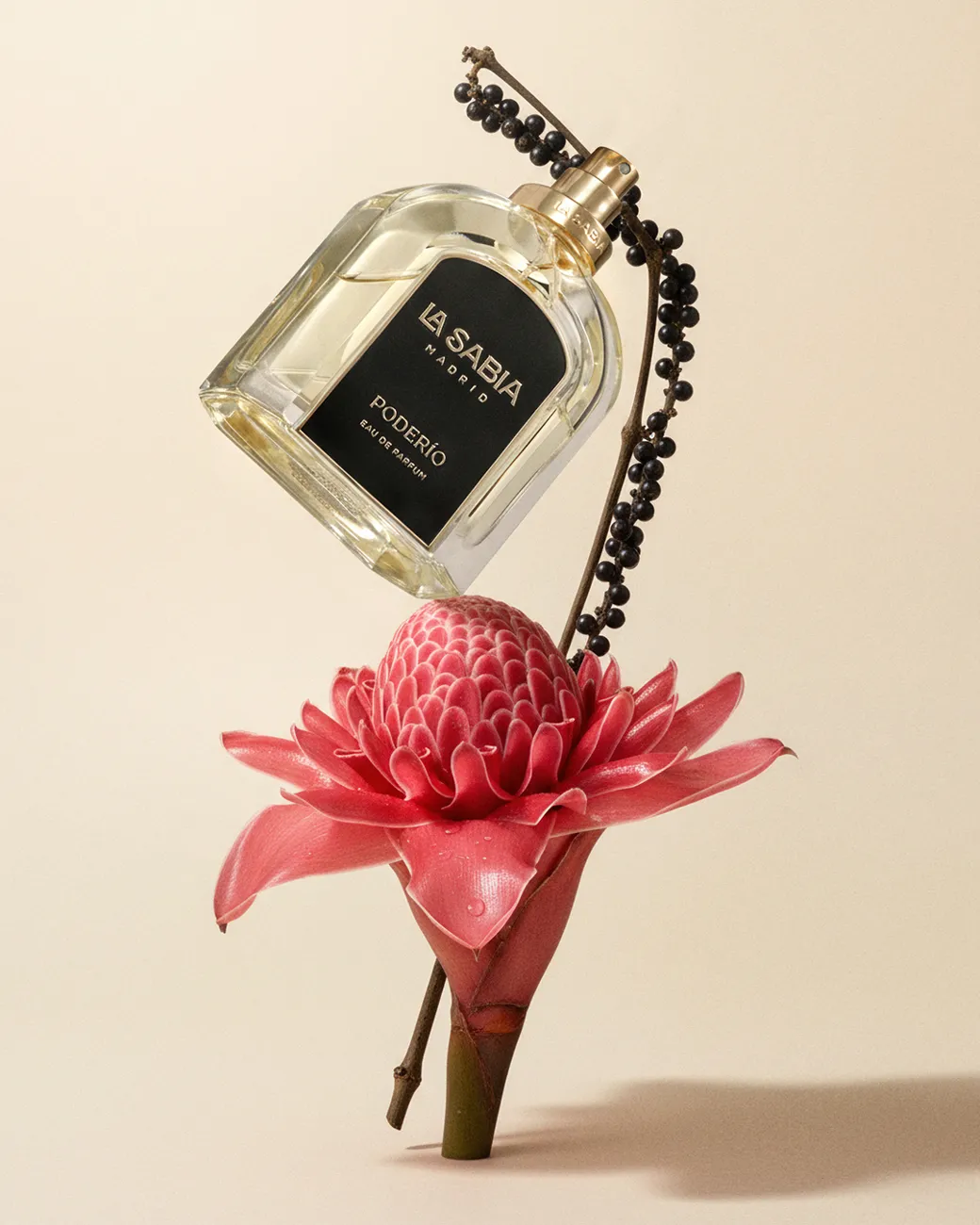 A fragrance balanced on ginger beside a torch-ginger bloom · TimeLäB Studio