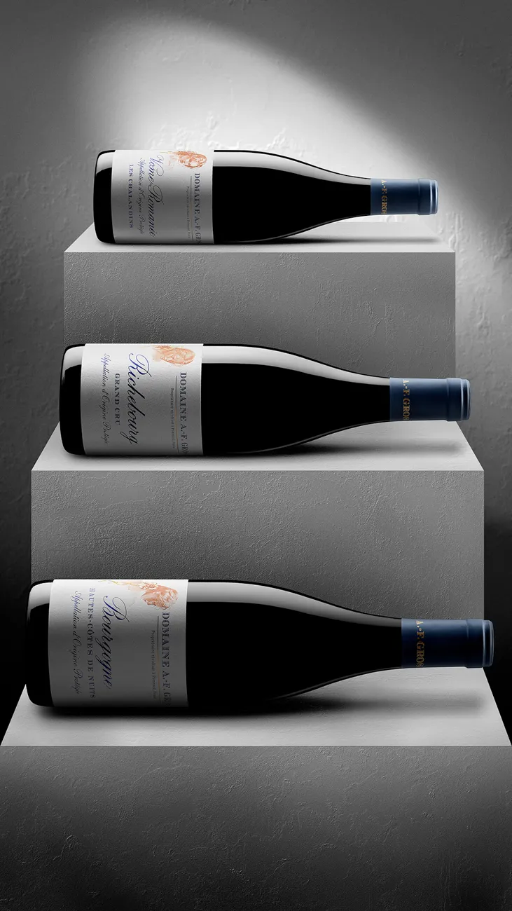 Wine bottles staged on grey pedestals · Product photography, TimeLäB Studio Barcelona