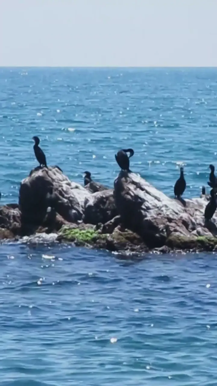 A coastline, filmed as brand atmosphere